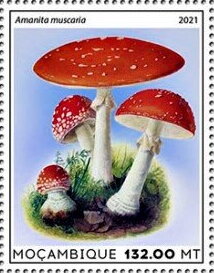 Stamp, Mushrooms - Amanita muscaria, Mozambique,  , Mushrooms