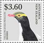 Yellow-EyedPenguin (Megadyptes antipodes)