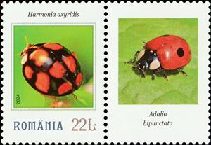 Stamp with Attached Label, Harmonia axyridis, Romania,  , Animals (Fauna), Beetles, Insects