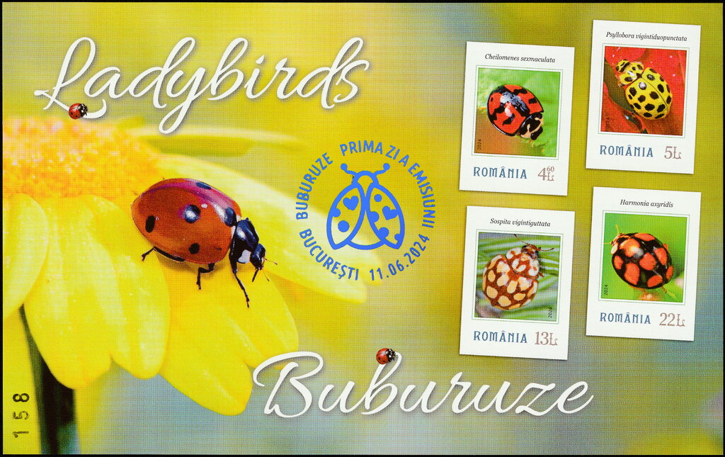 Ladybugs