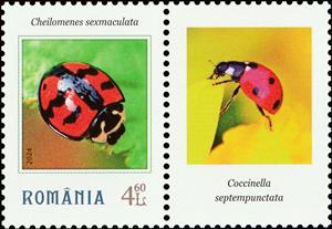 Stamp with Attached Label, Psyllobora vigintiduopunctata, Romania,  , Animals (Fauna), Beetles, Insects