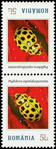 Tete-Beche, Psyllobora vigintiduopunctata, Romania,  , Animals (Fauna), Beetles, Insects