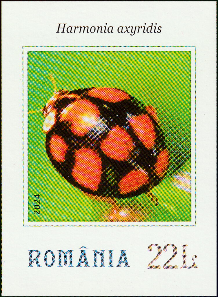 Sospita vigintiguttata