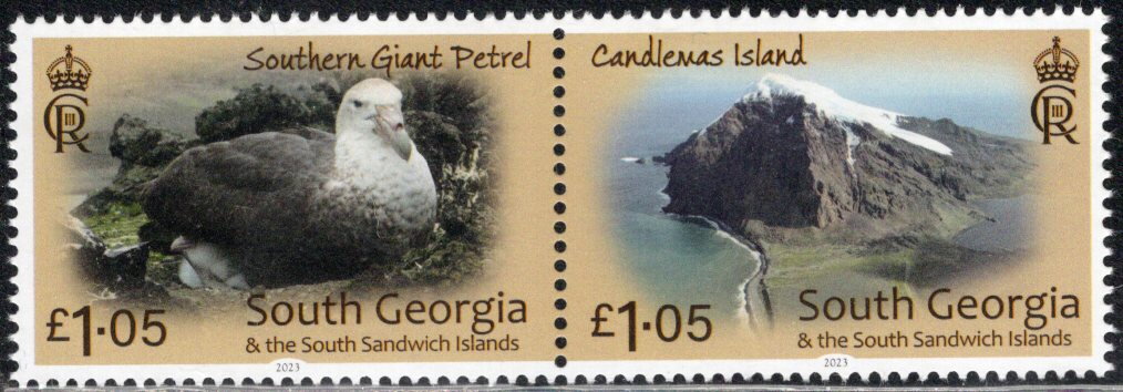 Giant Petrel & Candlemas Island