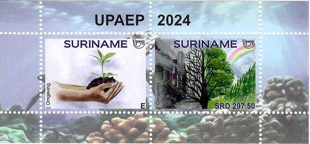 UPAEP 2024 : Environment