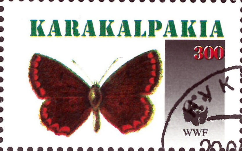Butterflies WWF