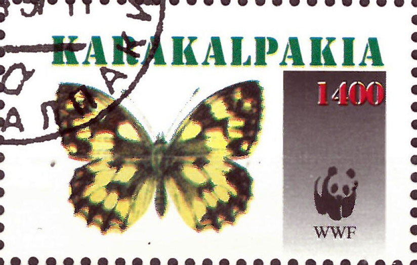 Butterflies WWF