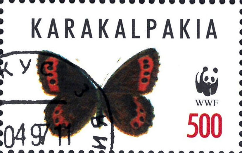 Butterflies WWF