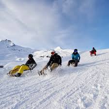 Sledges