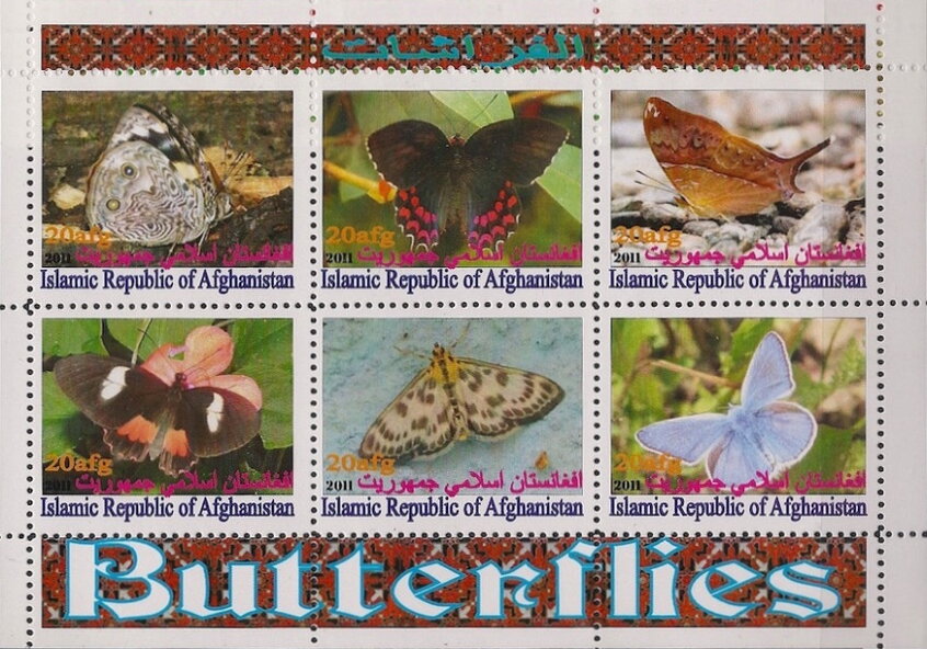 Butterflies
