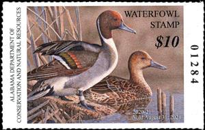 Stamp, Pintails, Alabama (AL),  , Animals (Fauna), Birds, Ducks, Hunting