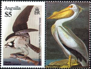 Stamp with Attached Label, Osprey (Pandion haliaetus), Anguilla,  , Animals (Fauna), Anniversaries and Jubilees, Art, Birds, Birds of Prey, Eagles, Famous People, Pelicans
