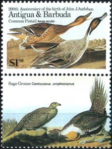 Stamp with Attached Label, Common Pintail and Sage Grouse, Antigua and Barbuda,  , Animals (Fauna), Anniversaries and Jubilees, Art, Birds, Ducks, Famous People, Men