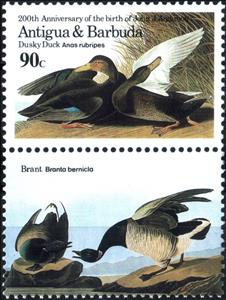Stamp with Attached Label, Dusky Duck and Brant, Antigua and Barbuda,  , Animals (Fauna), Anniversaries and Jubilees, Birds, Ducks, Famous People, Men