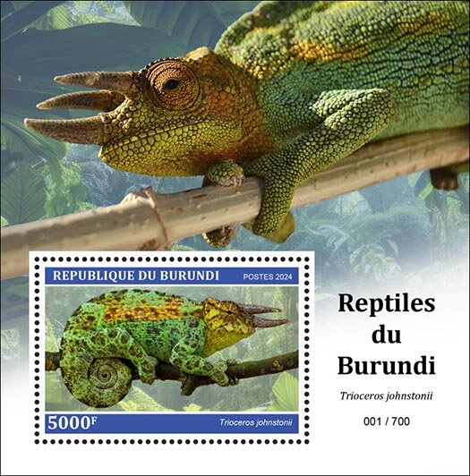 Reptiles of Burundi