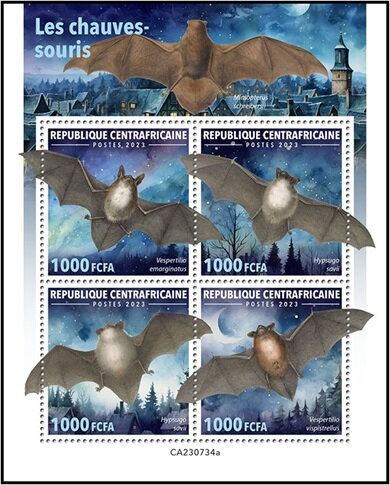 Bats