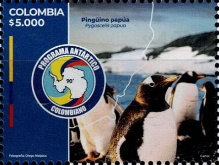 Gentoo Penguin (Pygoscelis papua)