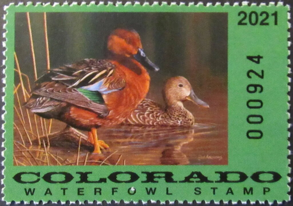 Ducks