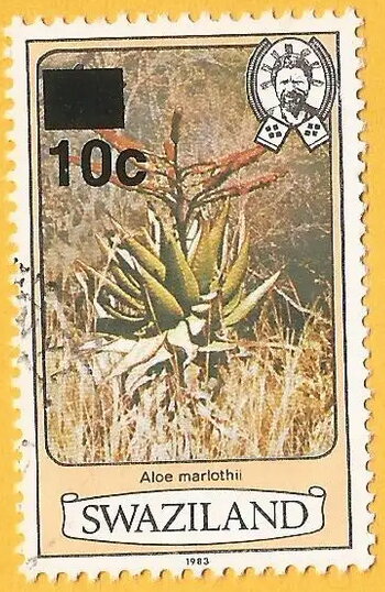 Aloe marlothii