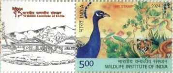 Wildlife Institute of India