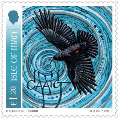 Chough (Pyrrhocorax sp.)