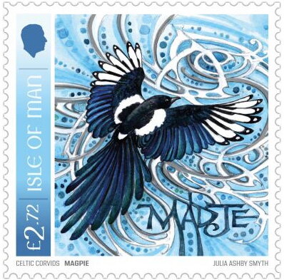 Magpie (Pica sp.)