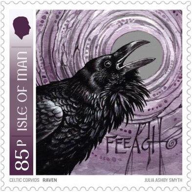 Raven (Corvus sp.)