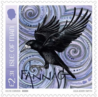 Rook (Corvus frugilegus)