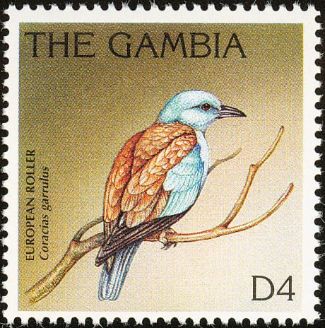 European Roller (Coracias garrulus)