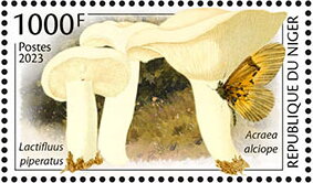 Stamp, Lactifluus piperatus, Acraea alciope, Niger,  , Animals (Fauna), Butterflies and Moths, Insects, Mushrooms, Plants (Flora)