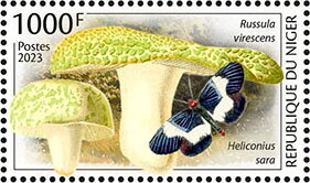 Russula virescens, Heliconius sara
