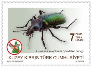 Stamp, Forest Catepillar Hunger (Calosoma sycophanta), Northern Cyprus,  , Insects