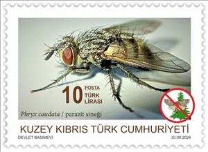 Stamp, Phryxe caudata, Northern Cyprus,  , Insects