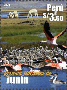 Junín Nature Reserve, 50 Years