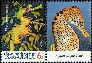 Stamp with Attached Label, Leafy Seadragon (Phycodurus eques), Romania,  , Animals (Fauna), Sea Life, Seahorses