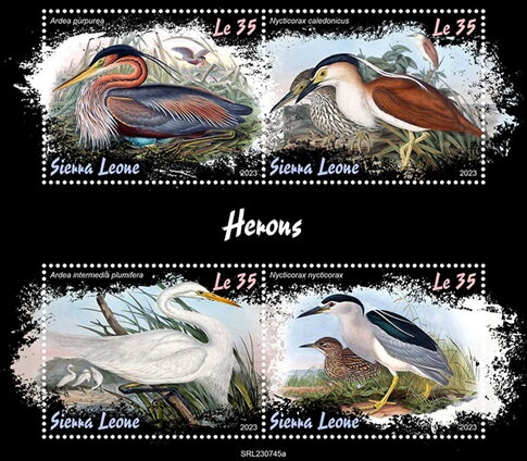 Herons
