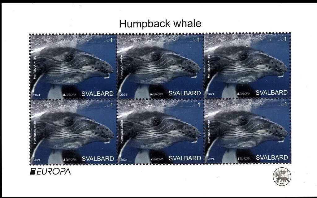 EUROPA - Humpback Whale