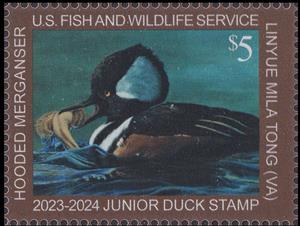 Stamp, Hooded merganser, United States of America,  , Animals (Fauna), Birds, Ducks