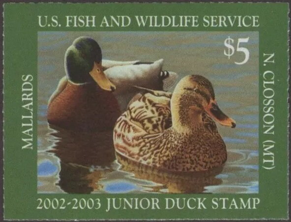 Mallards