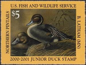 Stamp, Northern pintails, United States of America,  , Animals (Fauna), Birds, Ducks