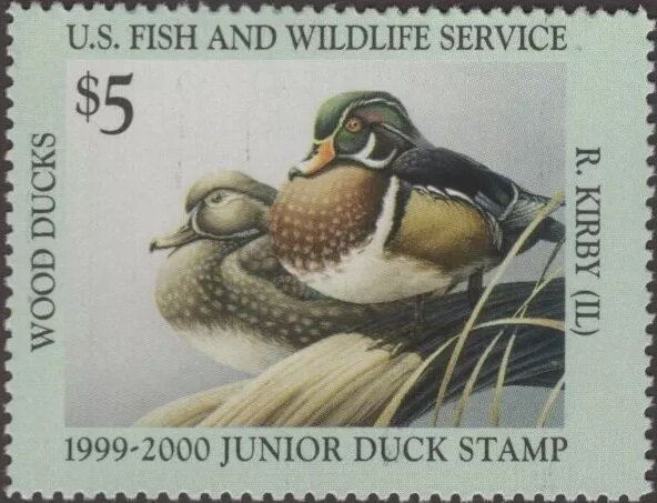 Wood ducks