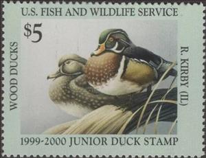 Stamp, Wood ducks, United States of America,  , Animals (Fauna), Birds, Ducks
