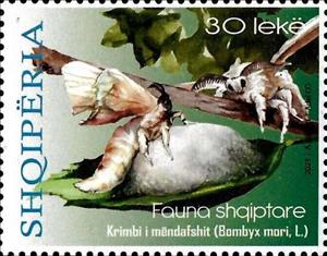 Stamp, Domestic Silk Moth (Bombyx mori), Albania,  , Animals (Fauna), Insects
