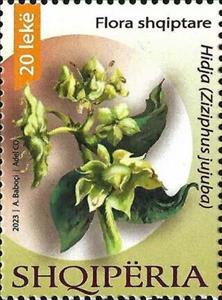 Stamp, Jujube (Ziziphus jujuba), Albania,  , Plants (Flora)