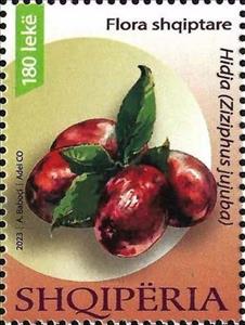 Stamp, Jujube (Ziziphus jujuba), Albania,  , Plants (Flora)