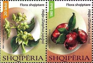 Se-tenant, Jujube (Ziziphus jujuba), Albania,  , Plants (Flora)