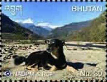 Stamp, Feral Dog Management Program, Bhutan,  , Dogs
