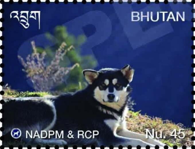 Feral Dog Management Program