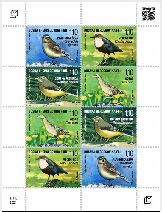 Fauna 2024 - Birds