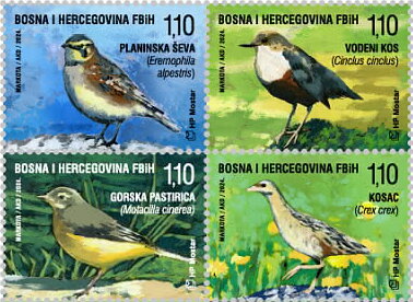 Fauna 2024 - Birds